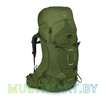 Туристический рюкзак Osprey Aether 65 (L/XL, Garlic Mustard Green)
